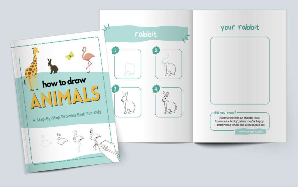 How to draw animals